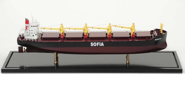 Bulk Carrier Model Ship