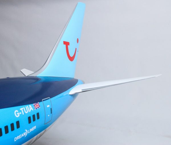 Boeing 787 - 800 Thomson Airways Model Plane - Image 6