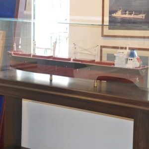 Display Case in Glass with Stand (SC)