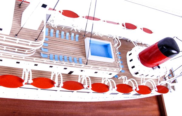 Southern Cross Passenger Liner - Image 6