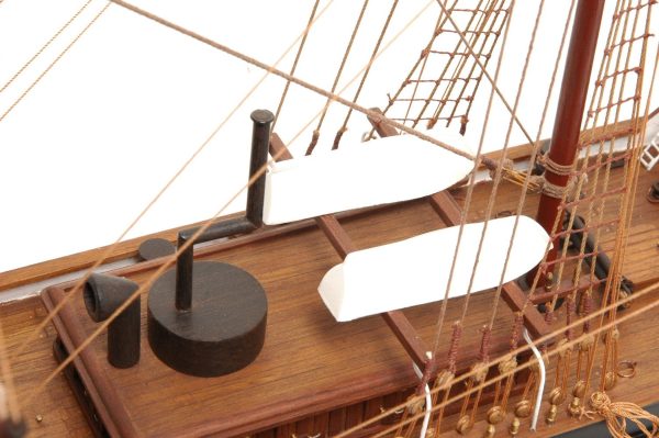 Dunedin Model Ship (Premier Range) - PSM - Image 9