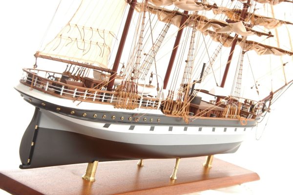 Dunedin Model Ship (Premier Range) - PSM - Image 10