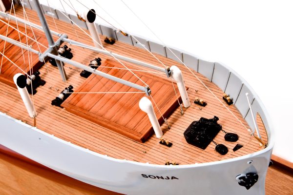 Sonja Cargo Steamship Custom Model - Image 6