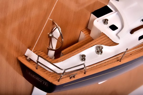 Half Model of Rustler 37 - Image 7