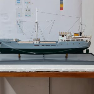 Cardona Model - PSM0028