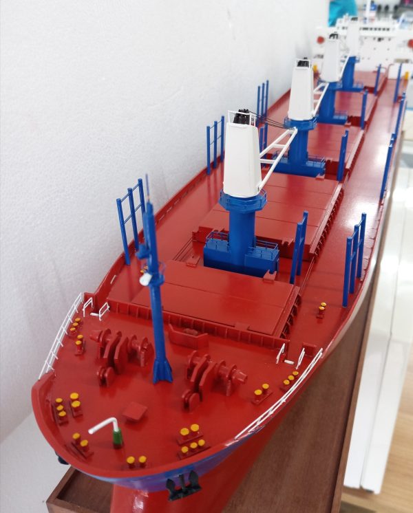 Occitan Pauillac/Key Model - PSM0016 - Image 11