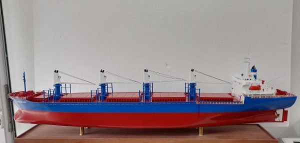 Occitan Pauillac/Key Model - PSM0016 - Image 12