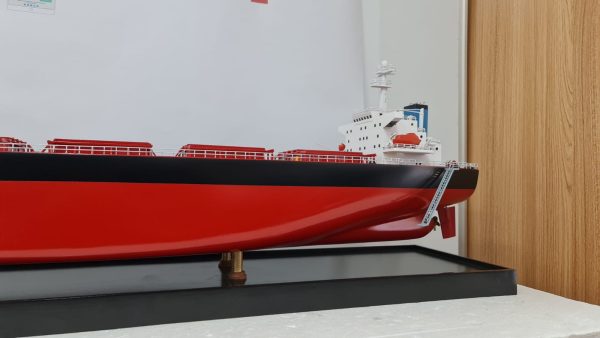 MV Riruccia Bulk Carrier Model - PSM0031 - Image 11