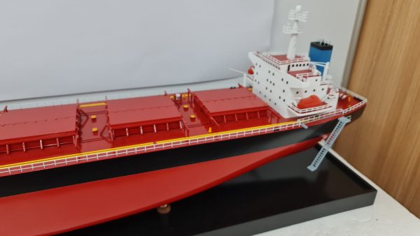 MV Riruccia Bulk Carrier Model - PSM0031 - Image 14