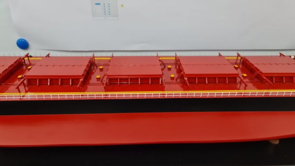 MV Riruccia Bulk Carrier Model - PSM0031 - Image 16