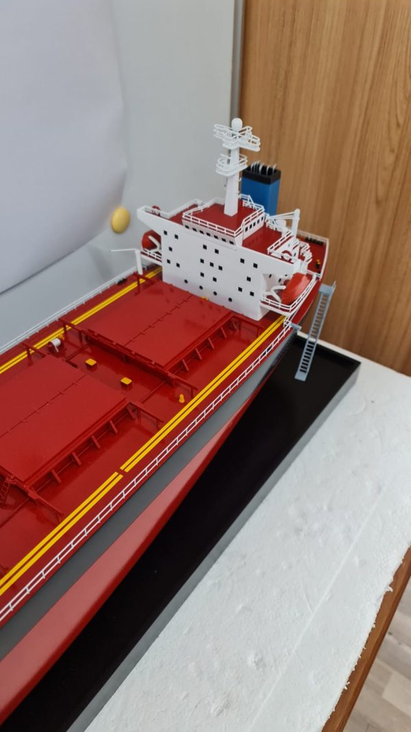 MV Riruccia Bulk Carrier Model - PSM0031 - Image 3