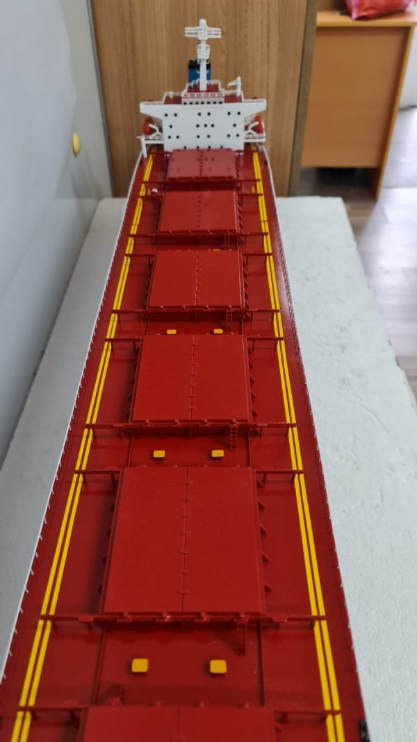 MV Riruccia Bulk Carrier Model - PSM0031 - Image 5