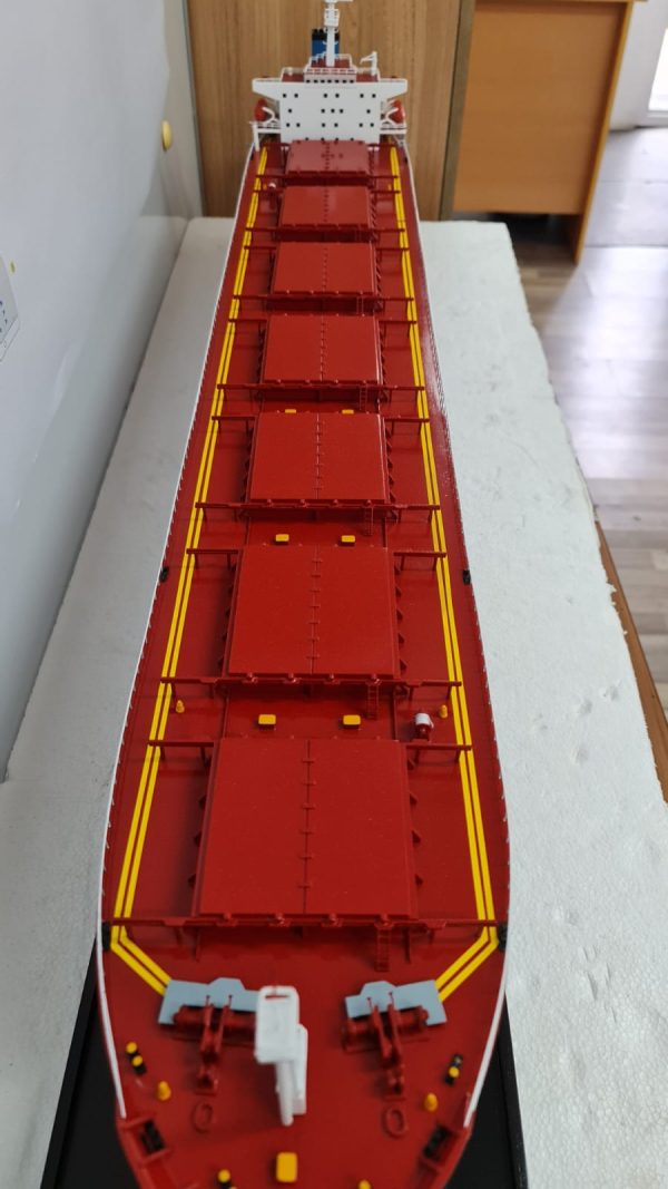MV Riruccia Bulk Carrier Model - PSM0031 - Image 6
