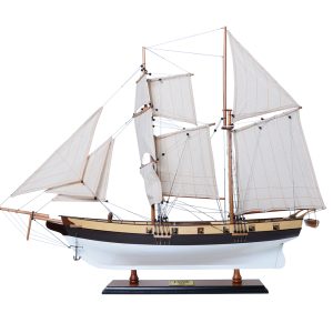 Lynx Painted Model Ship - OMH (T135)