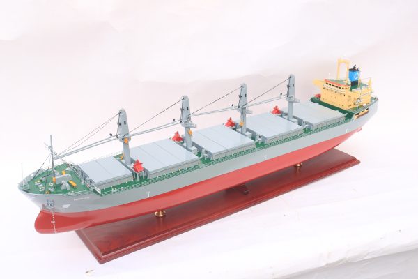 Sunshine Model Bulk Carrier - GN - Image 3